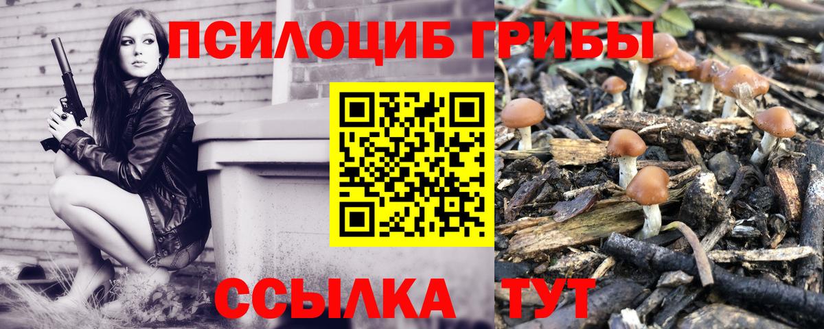 цена   Галлюциногенные грибы мицелий  Вход с VPN  Вязьма 